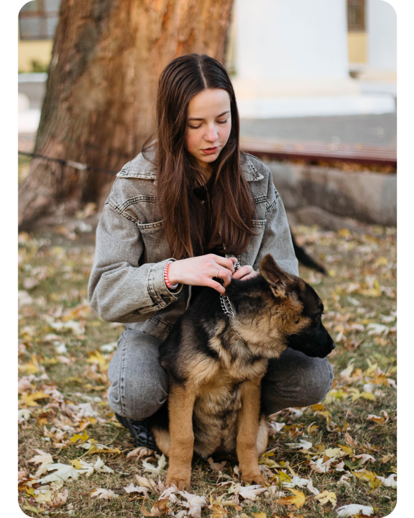 teens v2 Teenager putting collar on dog outside in the leaves